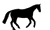 Horse Racing Animation