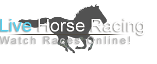 Live Horse Racing Streaming